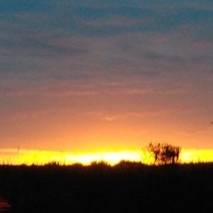 Meet your Posher, Rya